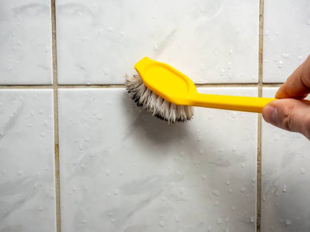 Best Mold Damage Repair  in Tucumcari, NM