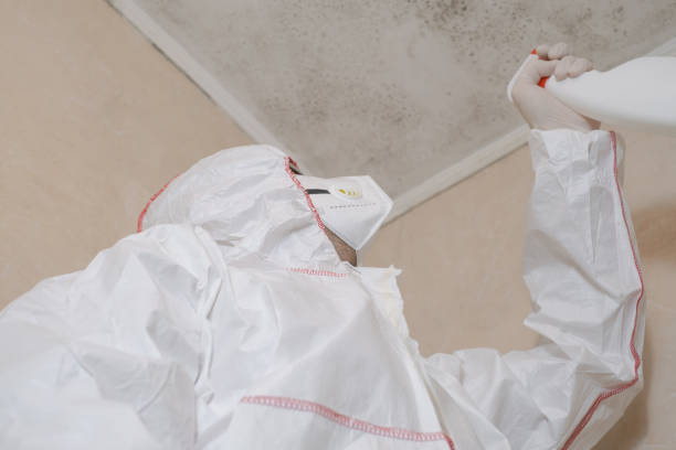Best Crawl Space Mold Removal  in Tucumcari, NM