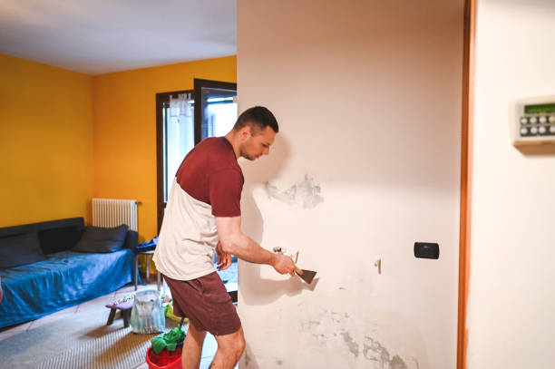 Best Mold Removal Near Me  in Tucumcari, NM